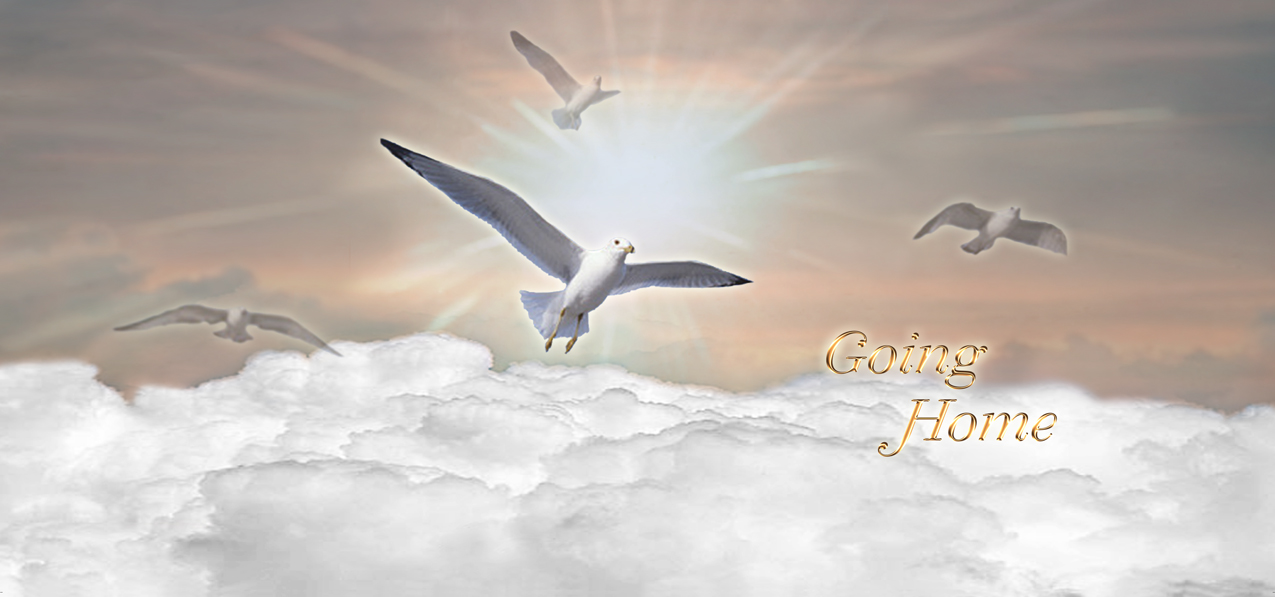 P 102 BZ Going Home Clouds Birds Bronze